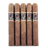 Olman Founder's Edition Corjo Robusto - 5 x 50